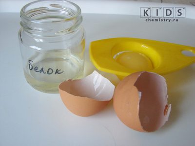 опыты с белком яйца