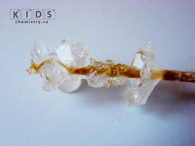 кристаллы из сахара