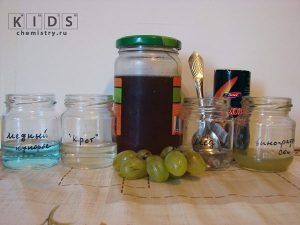 опыт с глюкозой в меде и винограде